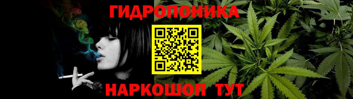 Бошки Шишки планчик  Вход с VPN  Александров  Бошки Шишки White Widow  Шишки марихуана конопля 